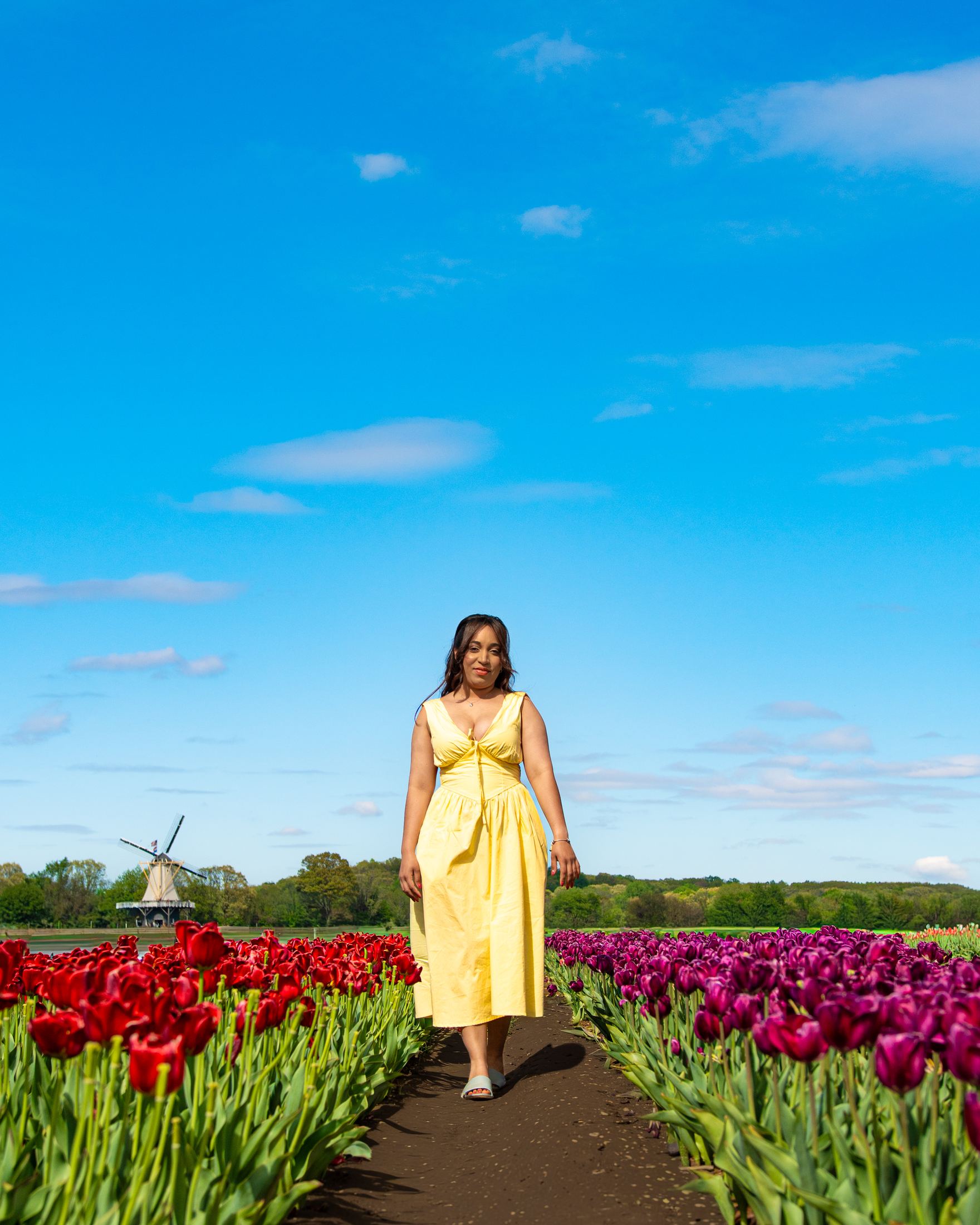 Tulip Fields portrait collection